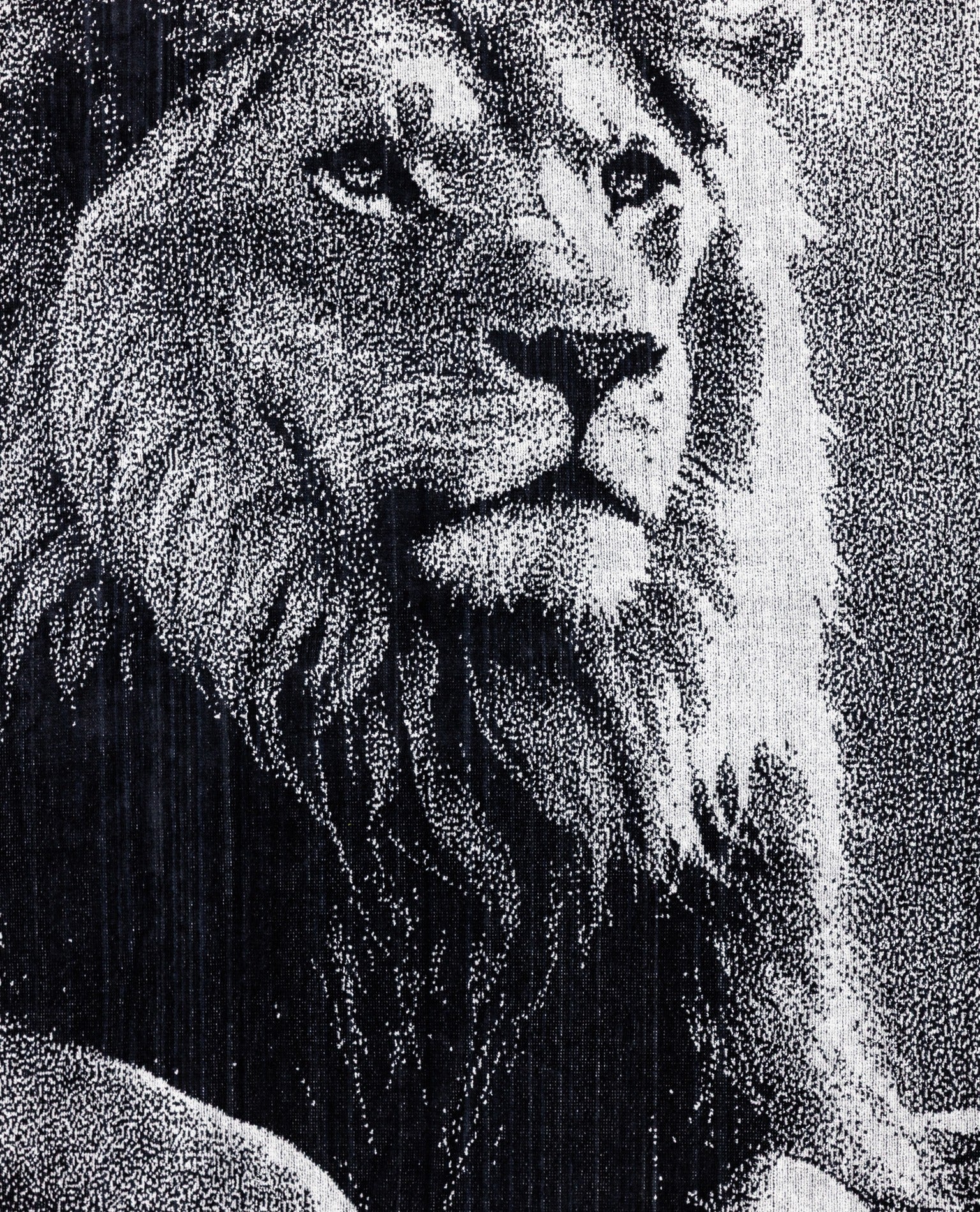 ANIMAL Oroszlán strandtörölköző felülnézetből – 165x90 cm XXL pamut