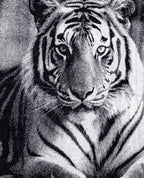 ANIMAL Tigris strandtörölköző felülnézetből – 165x90 cm XXL pamut