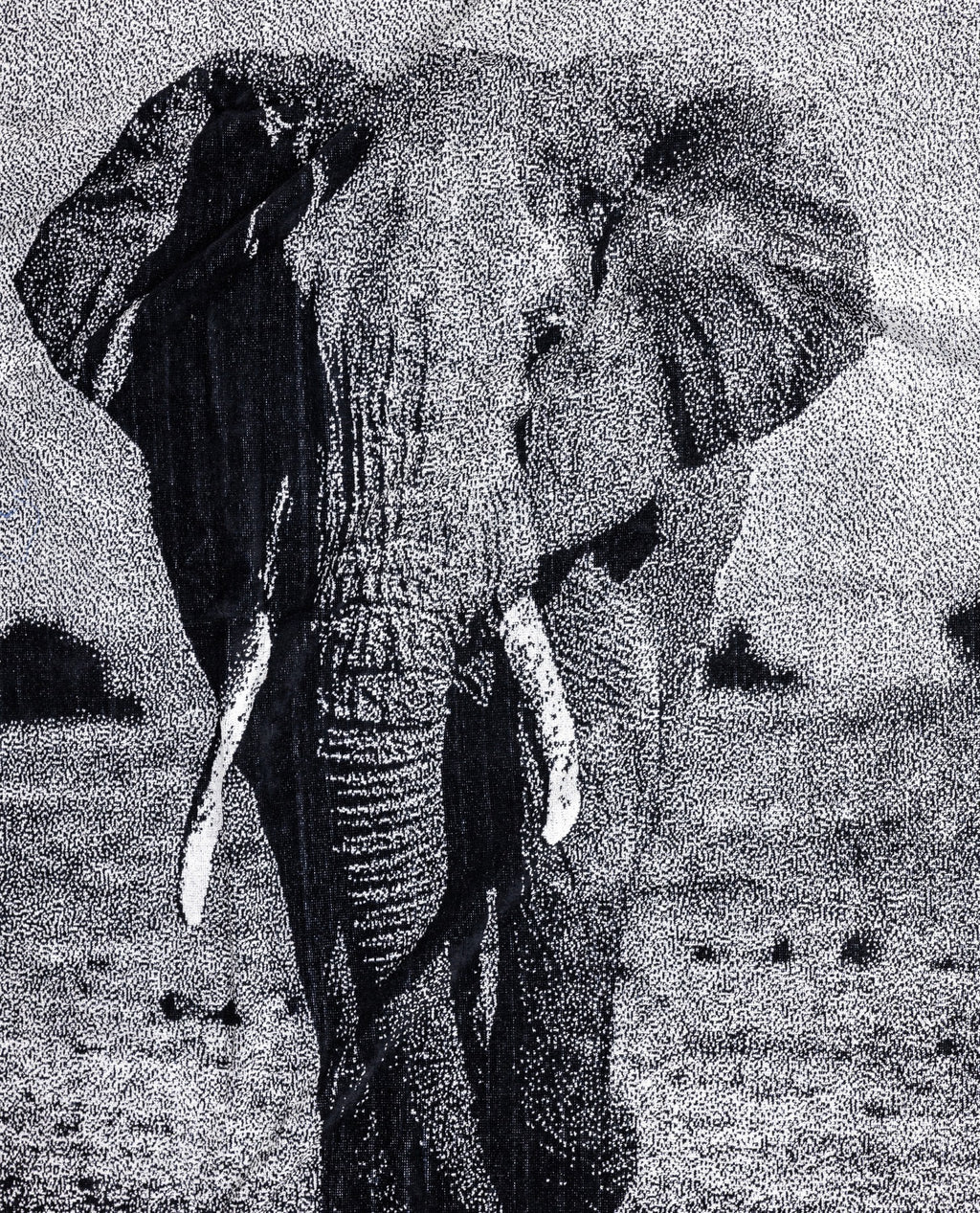 ANIMAL Elefánt Strandtörölköző 165x90cm