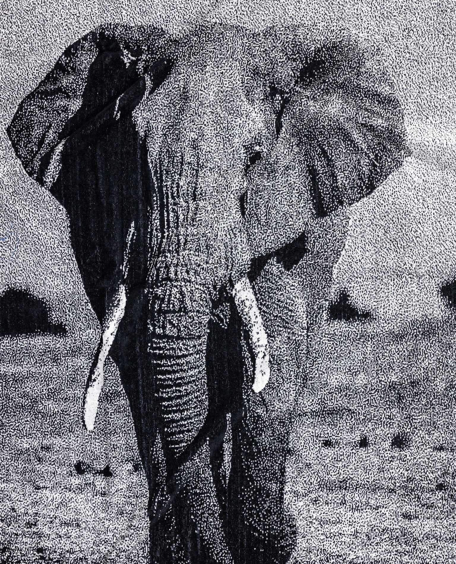 ANIMAL Elefánt Strandtörölköző 165x90cm